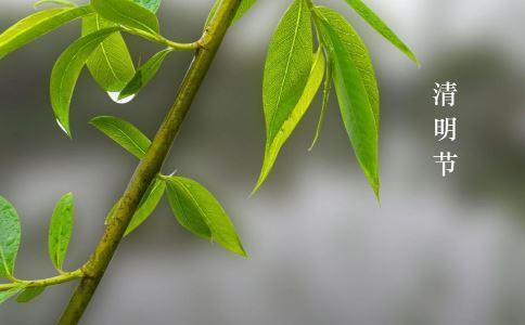 清明时节“五行养生法”