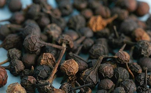 荜澄茄