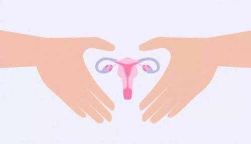 中年女性如何养生?