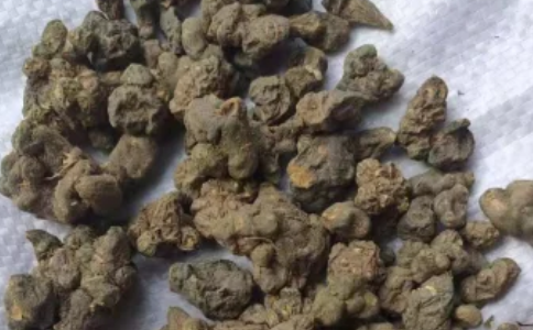 夏天无