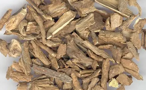 矮脚罗伞
