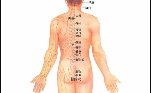 命门穴的位置