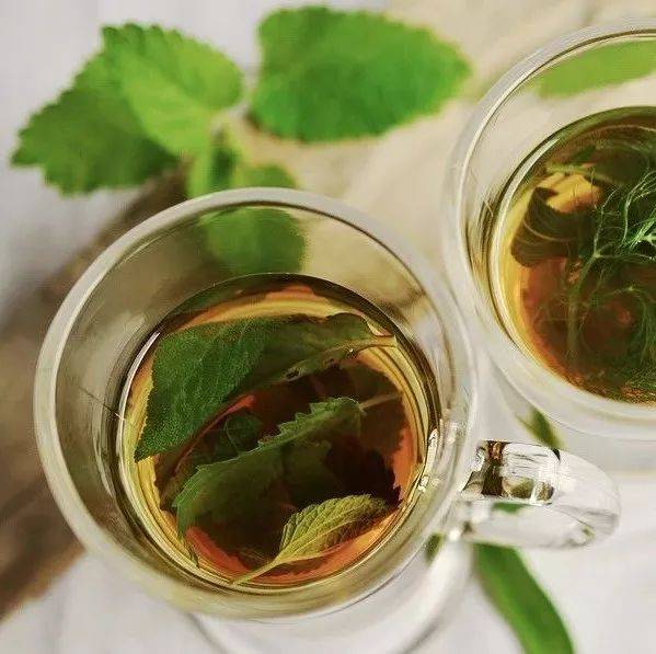 中医药茶茶船烫杯