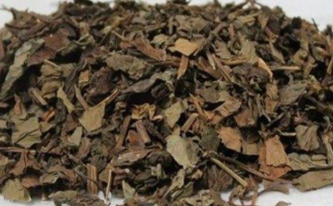 颠茄草