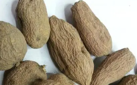 青牛胆